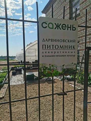 Площадка "Бакчарских саженцев" в питомнике растений "Сажень"